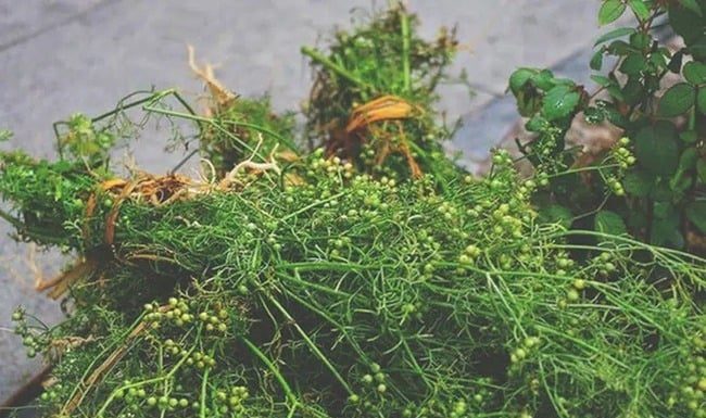 Why do people often bathe with leaves on the last day of the year? Can other types of leaves be used for bathing?