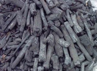 “Unbelievable Results From Placing Charcoal in Your Microwave: Don’t Regret Not Trying Sooner!”