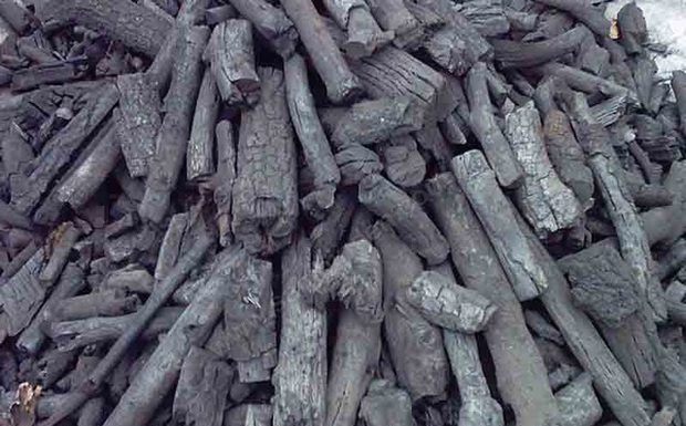 “Unbelievable Results From Placing Charcoal in Your Microwave: Don’t Regret Not Trying Sooner!”