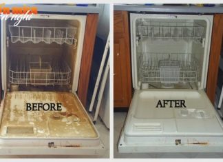 Revealing the Truth: People Who Cleaned Their Dishwashers the Wrong Way for So Long