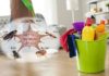 Tips for Achieving a Fragrant and Pest-Free Home