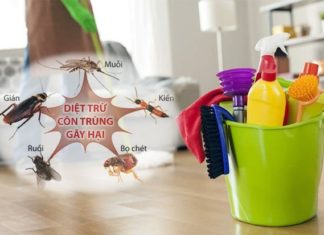 Tips for Achieving a Fragrant and Pest-Free Home