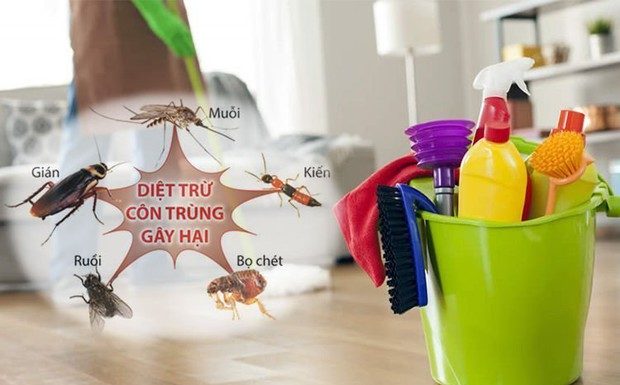 Tips for Achieving a Fragrant and Pest-Free Home