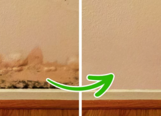 Dealing with Mold Odors at Home During Humid Weather