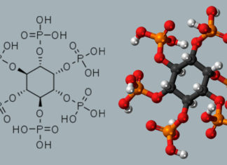 Exploring the Benefits of Phytic Acid for Skin Brightening