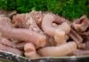 Discover How to Prepare and Enjoy Pig’s Trotters: Cleaning and Cooking Advice