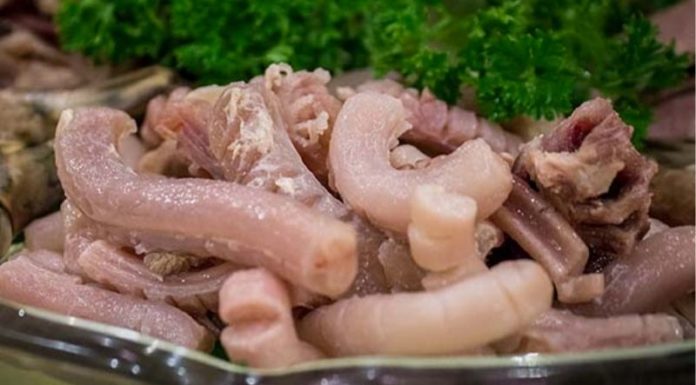 Discover How to Prepare and Enjoy Pig’s Trotters: Cleaning and Cooking Advice