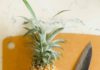 2 Beautiful Ways to Cut Pineapple Like a Pro