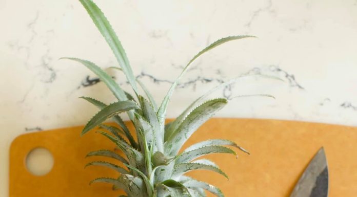 2 Beautiful Ways to Cut Pineapple Like a Pro