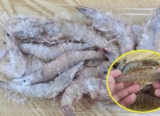 How to quickly soften and tenderize thawed shrimp: The secret to perfectly tender and flavorful shrimp in just one step