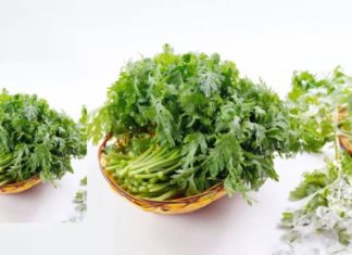 Remember to buy this vegetable on Tet day, eating it once is equivalent to drinking 10 cups of dandelion tea, helps you sleep well, without worrying about internal heat