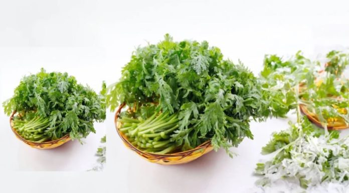 Remember to buy this vegetable on Tet day, eating it once is equivalent to drinking 10 cups of dandelion tea, helps you sleep well, without worrying about internal heat