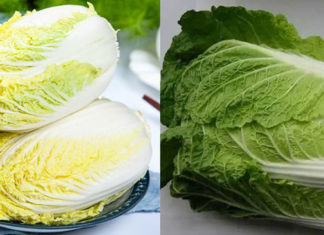 Which Color Cabbage Should You Buy: Green or White?