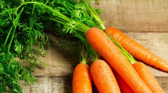 Misunderstood Vegetables: 4 Nutrient-Rich Types That Are More Beneficial When Cooked Thoroughly