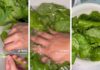 How to Preserve Vegetables for a Longer Shelf Life