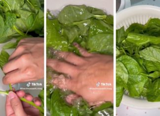 How to Preserve Vegetables for a Longer Shelf Life