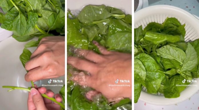 How to Preserve Vegetables for a Longer Shelf Life