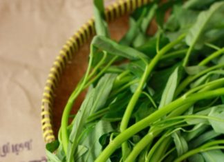 How to Grow Water Spinach Fast Using Large Branches