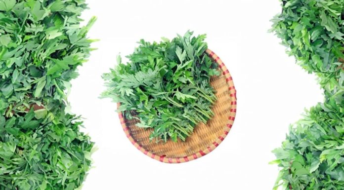 The surprising health benefits and longevity of combining sage with this ingredient