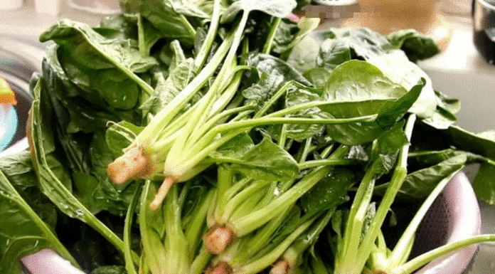 Blanching is the key to keep green vegetables vibrant and fresh