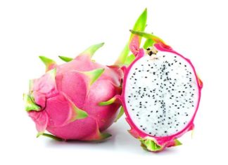 Exploring the Incredible Impact of the “Green Dragon”