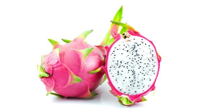 Exploring the Incredible Impact of the “Green Dragon”