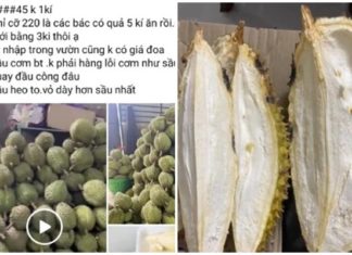 Seller reveals the truth about cheap Ri 6 durians, only 45,000 VND/kg: How to choose the best ones with abundant flesh and small seeds