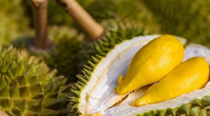 7 Simple Solutions for Speeding Up Durian Ripening