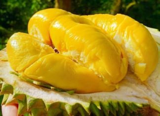 Identifying and Selecting Delectable Cai Mon Durians: A How-To Guide
