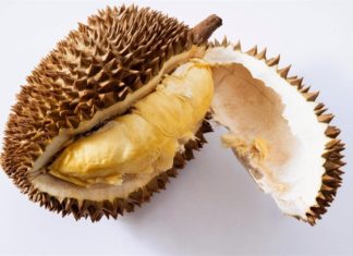 Debate Sparked Over Edibility of Durian Shells in Dishes