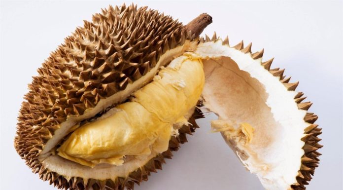 Debate Sparked Over Edibility of Durian Shells in Dishes