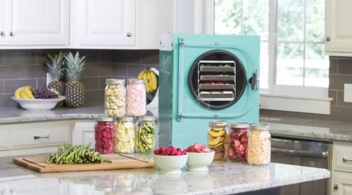 Understanding the Operation of a Freeze Dryer