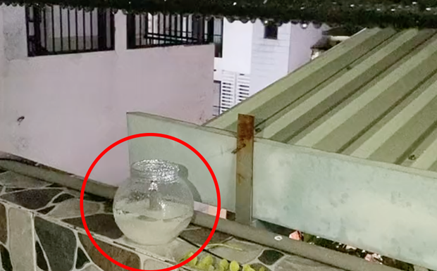 Boy finds an Unexpectedly Heartbreaking End when Trying to Chase Away Ants with a Jar of Sugar