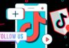 What is TikTok Seeding? Seeding methods and how to use tools for effective engagement.