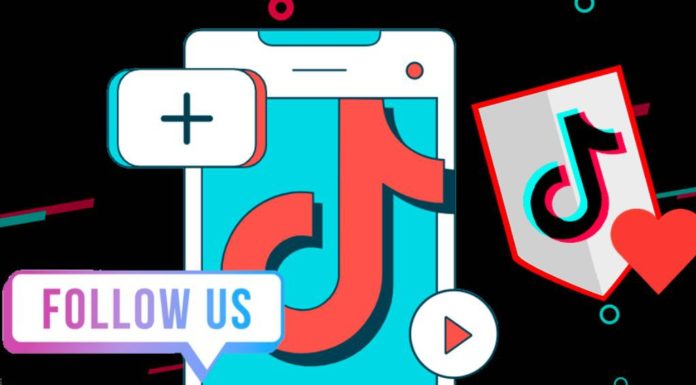 What is TikTok Seeding? Seeding methods and how to use tools for effective engagement.