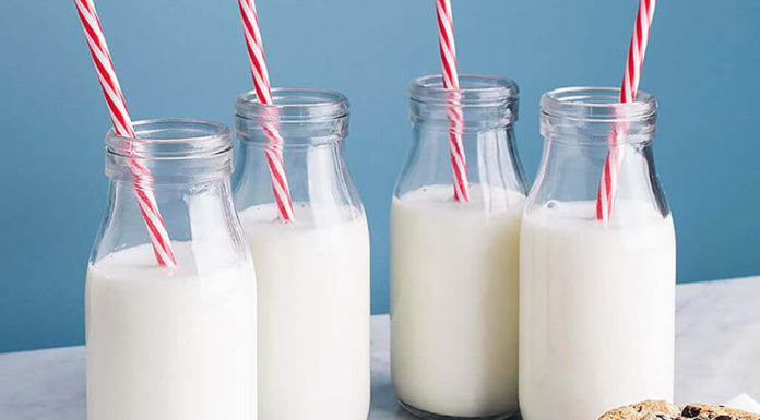 Is it Possible to Prepare Fresh Milk from Powdered Milk?