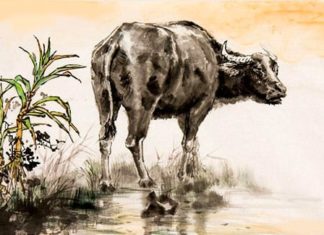 15 Days in Late February: 3-Year-Old Hits the Gold Jackpot, Especially the Second Year Extremely Wealthy