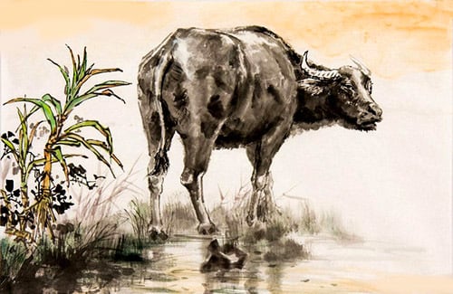 15 Days in Late February: 3-Year-Old Hits the Gold Jackpot, Especially the Second Year Extremely Wealthy