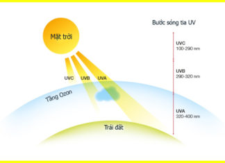 Protective Eyewear: How to Shield Skin and Eyes from Harmful UV Rays