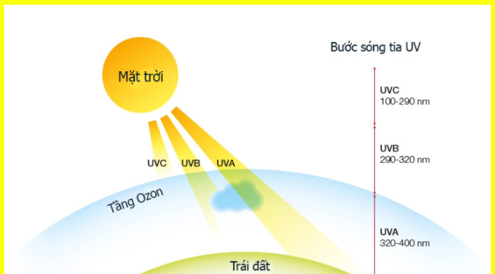 Protective Eyewear: How to Shield Skin and Eyes from Harmful UV Rays