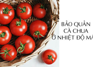 Unveiling the Dangers of Refrigerating Tomatoes