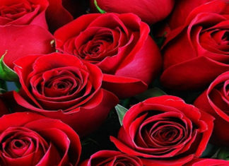 Revitalize Your Skin with Tet Floral Displays