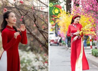 7 Stunning Poses to Capture the Beauty of Áo Dài in Lunar New Year Photoshoots