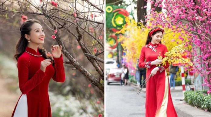 7 Stunning Poses to Capture the Beauty of Áo Dài in Lunar New Year Photoshoots
