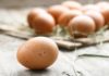 “Learn Everything You Need to Know About Eggs: How to Pick, Store, and Identify Real vs. Fake”