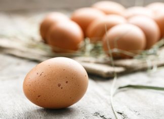 “Learn Everything You Need to Know About Eggs: How to Pick, Store, and Identify Real vs. Fake”