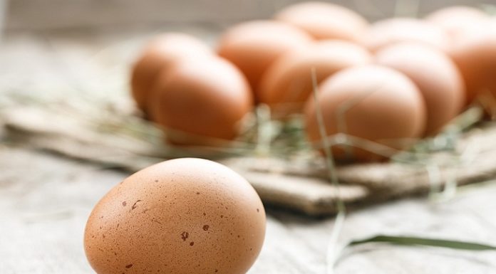 “Learn Everything You Need to Know About Eggs: How to Pick, Store, and Identify Real vs. Fake”