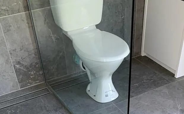 Mother seeks help online after experiencing a nightmare in the bathroom