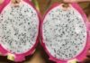 4 Tips to Choose the Perfectly Sweet Dragon Fruit