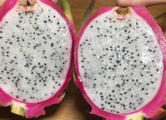 4 Tips to Choose the Perfectly Sweet Dragon Fruit